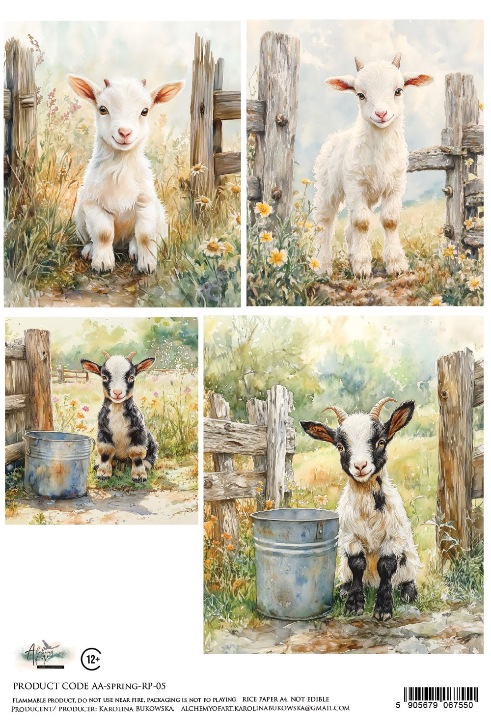 AlchemyOfArt - Rispapir - Spring 05
