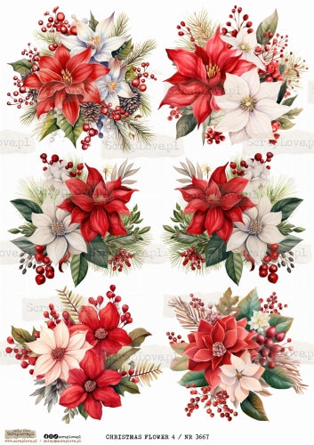 Utklippsark A4 - Christmas flower 4