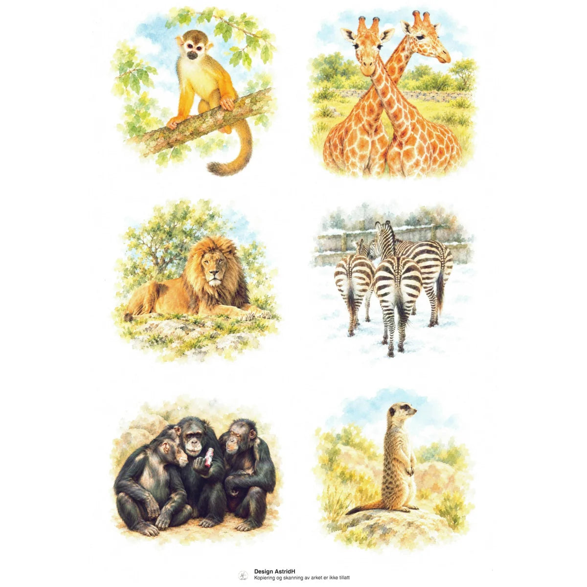 AstridH Design - Motivark - ZOO