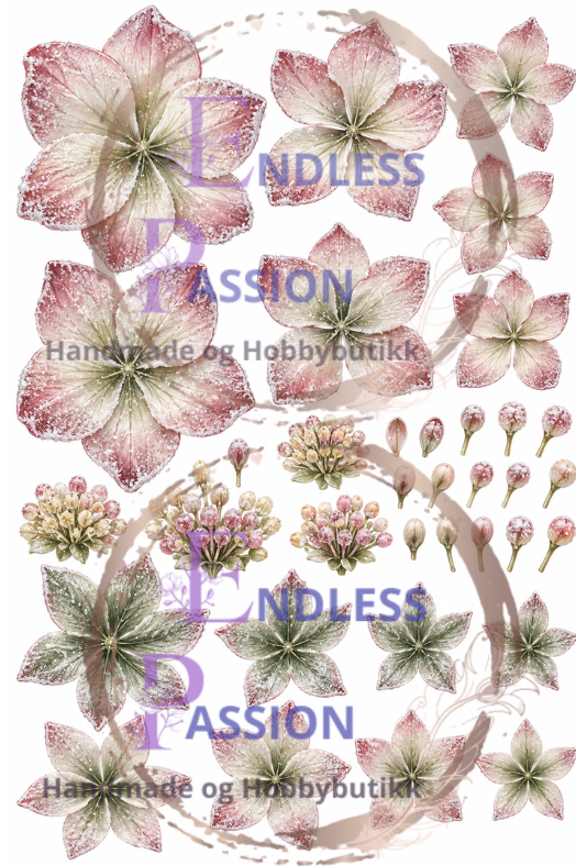 EndlessPassion - Julerose rosa A4