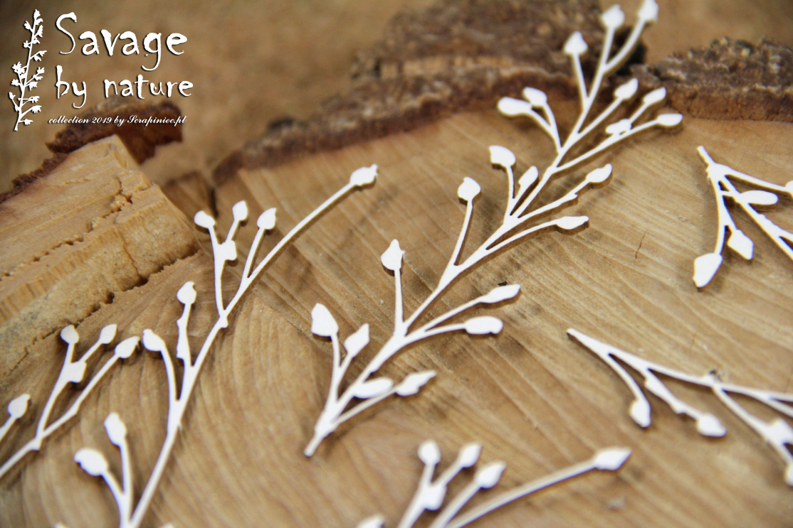 Chipboard - Kvister 6 stk - Savage by Nature