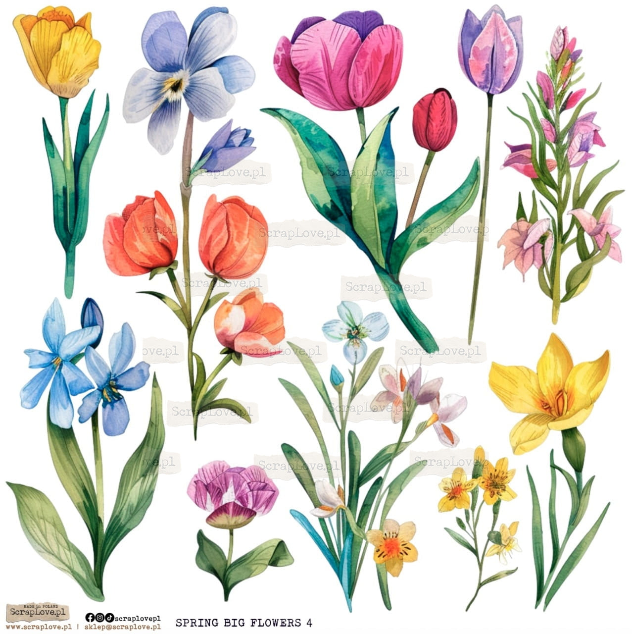 Scraplove - Spring Big Flowers 4