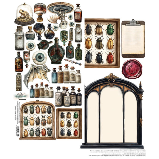 AlchemyOfArt - Behind Close Door - klippeark insekter