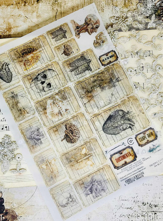 AlchemyOfArt - Behind Close Door - kalkepapir A5