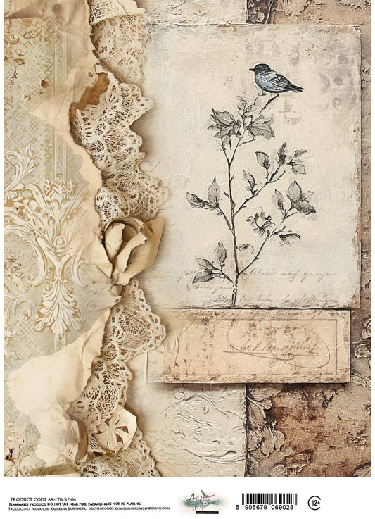 AlchemyOfArt - Rispapir - In the library 04