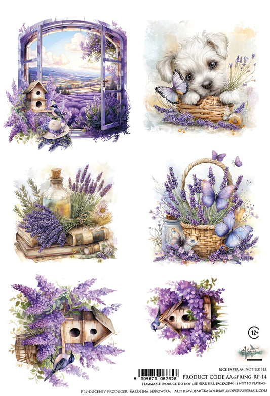 AlchemyOfArt - Rispapir - Spring 14