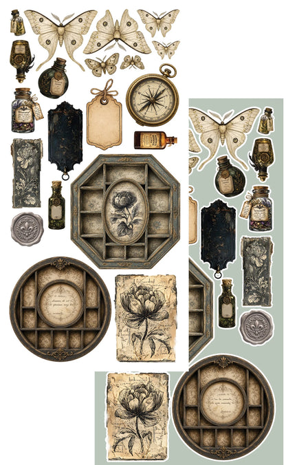 Alchemy of Art – Vintage Botanical – Klippeblokk 6x12"