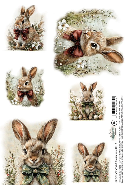 AlchemyOfArt - Rispapir - Spring 10