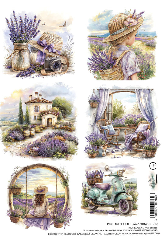 AlchemyOfArt - Rispapir - Spring 12