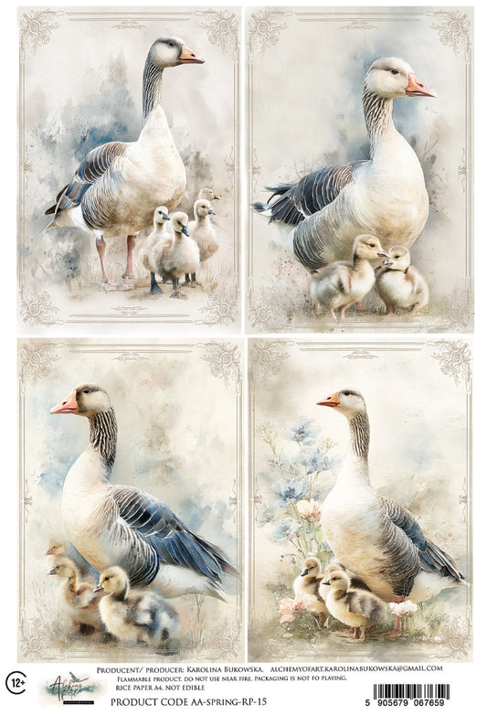 AlchemyOfArt - Rispapir - Spring 15