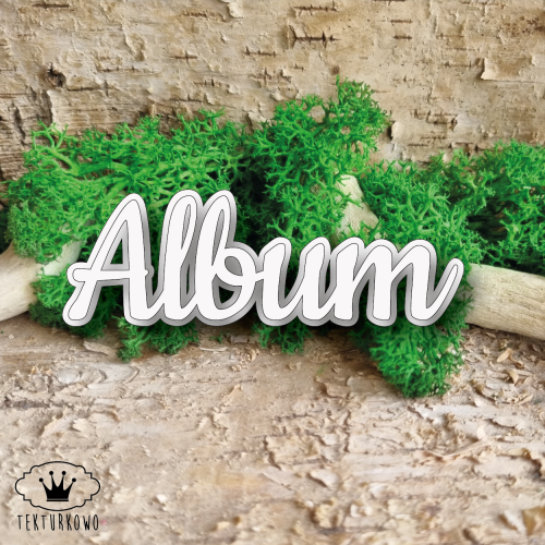 Chipboard - Innskripsjon - ALBUM