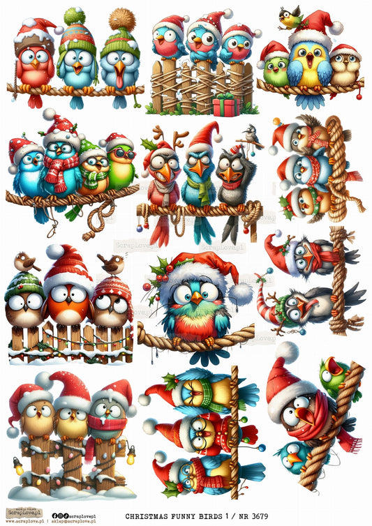 Utklippsark A4 - Christmas Funny birds 1