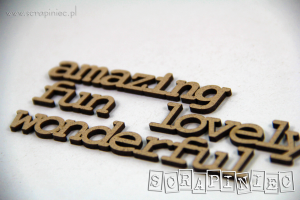 Chipboard - Innskripsjoner - FUN