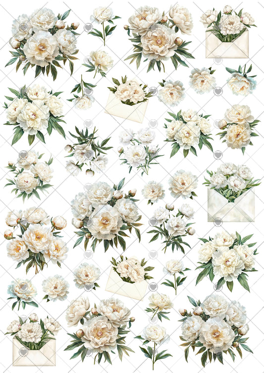 Utklipsark A4 -  Hvitt blomster