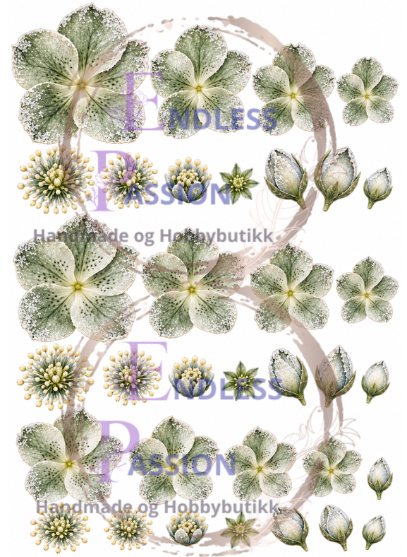 EndlessPassion - Julerose grønn A4