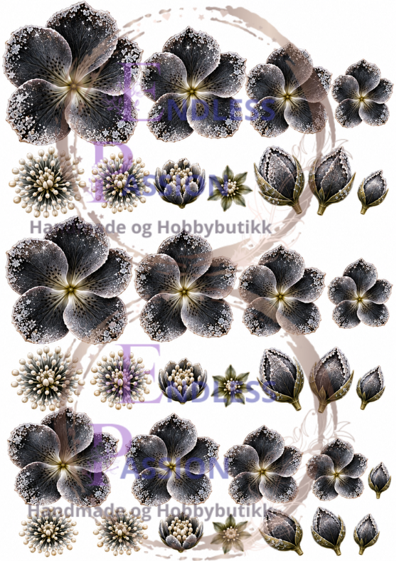 EndlessPassion - Julerose svart A4