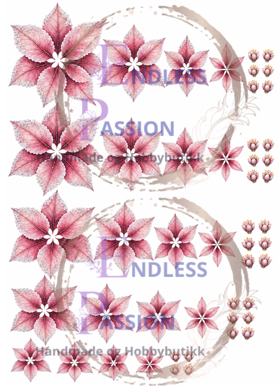 EndlessPassion - Julestjerne rosa - A4