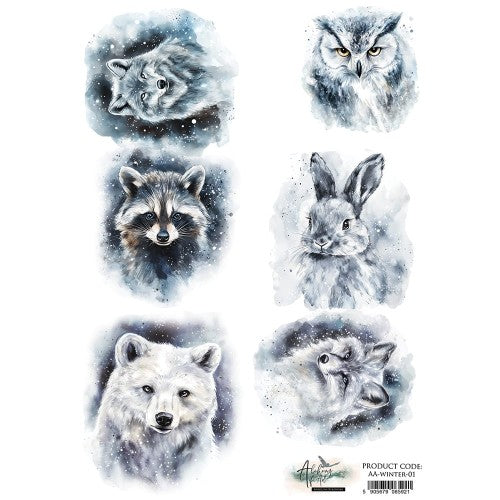 AlchemyOfArt - Rispapir Winter 01
