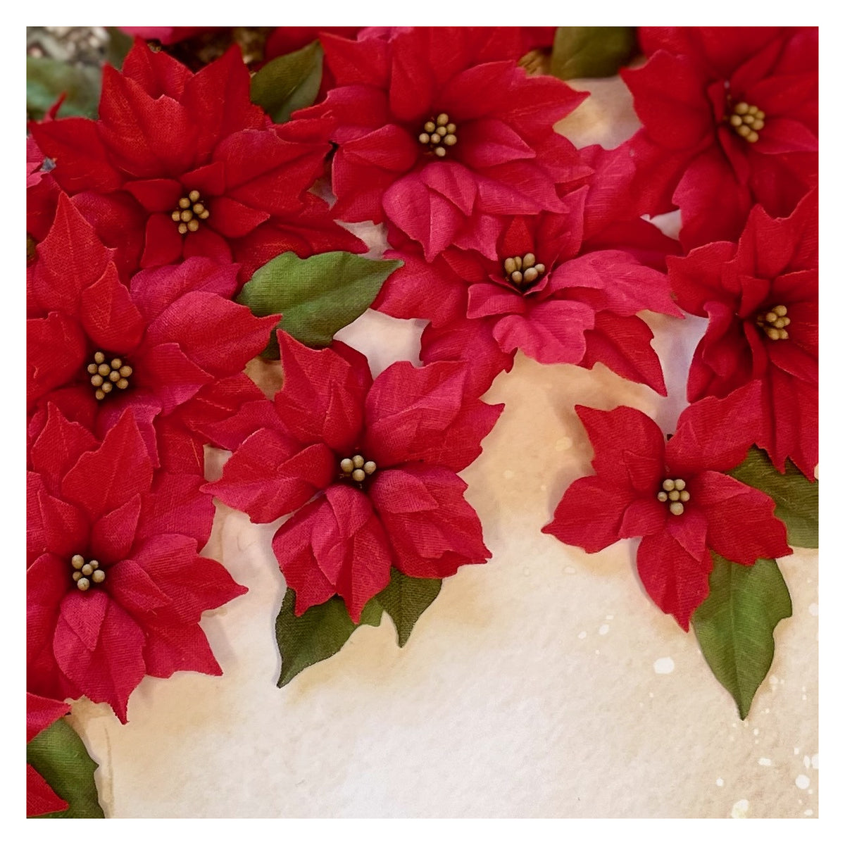 Scrapandme - Dies 056 - Poinsettia Flowers