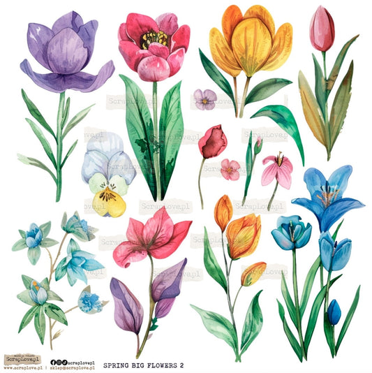 Scraplove - Spring Big Flowers 2