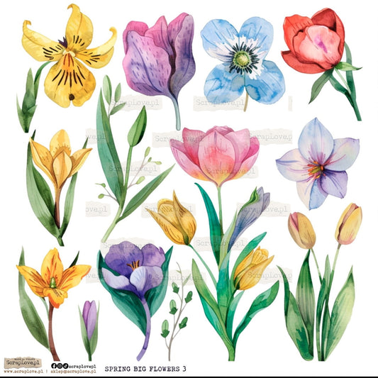 Scraplove - Spring Big Flowers 3