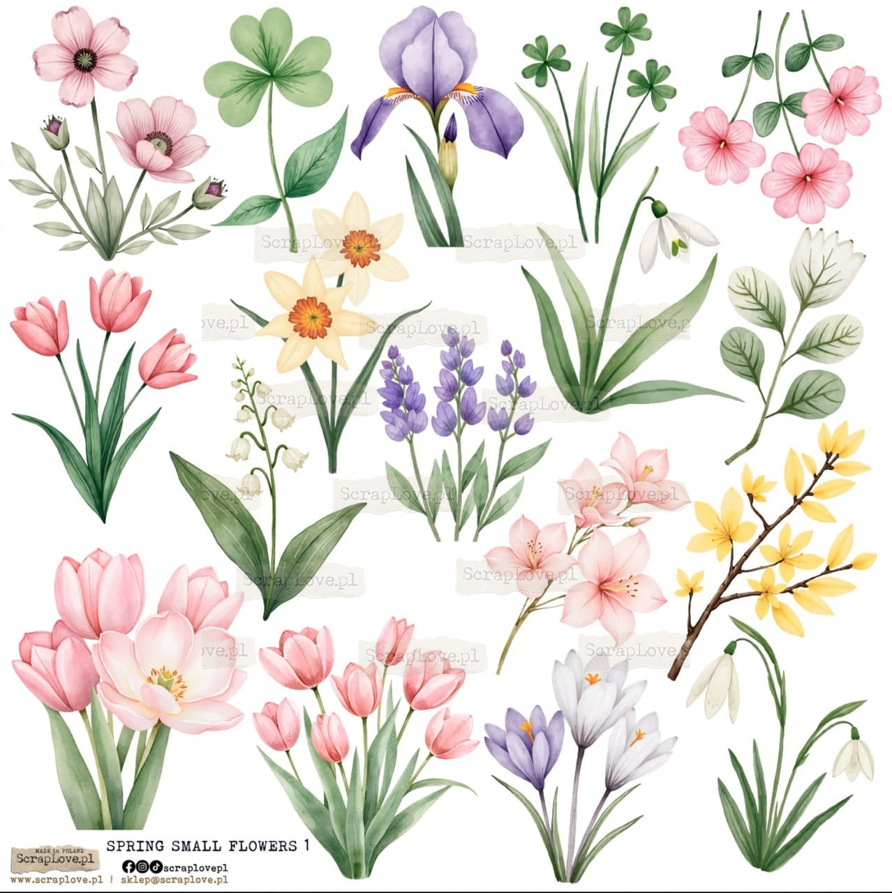 Scraplove - Spring Small Flowers 1