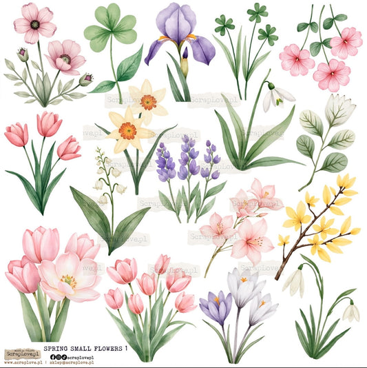 Scraplove - Spring Small Flowers 1
