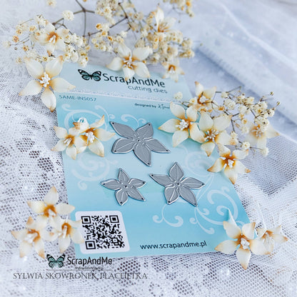 Scrapandme - Dies 057 - Poinsettia Flowers